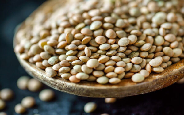 عدس ساسکن وارداتی اعلا