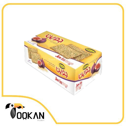 بیسکویت جوین با شیره انجیر 500 گرمی گرجی