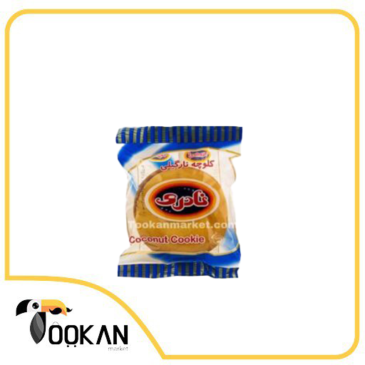 کلوچه نارگیلی 100 گرمی نادری